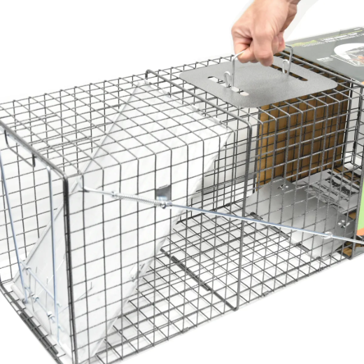 Picture of 2PC 1-Door Animal Trap Set (M) 24in x 7in x 7in & (L) 32in x 12in x 10in