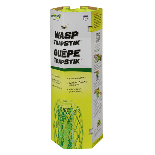 TrapsStik Trap For Wasps; Carpenter Bees & Mud Daubers