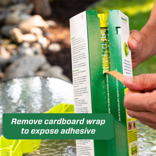 TrapsStik Trap For Wasps; Carpenter Bees & Mud Daubers