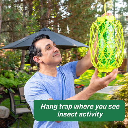 TrapsStik Trap For Wasps; Carpenter Bees & Mud Daubers