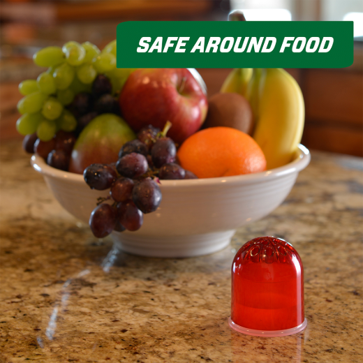 2PC Fruit Fly Trap Reuseable