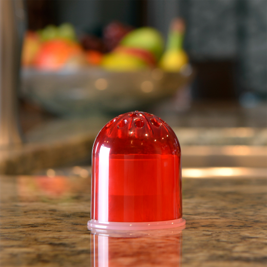 2PC Fruit Fly Trap Reuseable