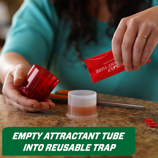 2PC Fruit Fly Trap Reuseable