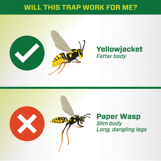Yellowjacket Trap Disposable For Western Canada