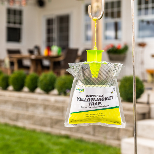 Yellowjacket Trap Disposable For Eastern Canada