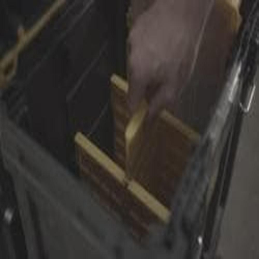 DWST08035_3.png