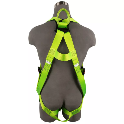 SW77225-UT2QCSL-L_XL_4.png