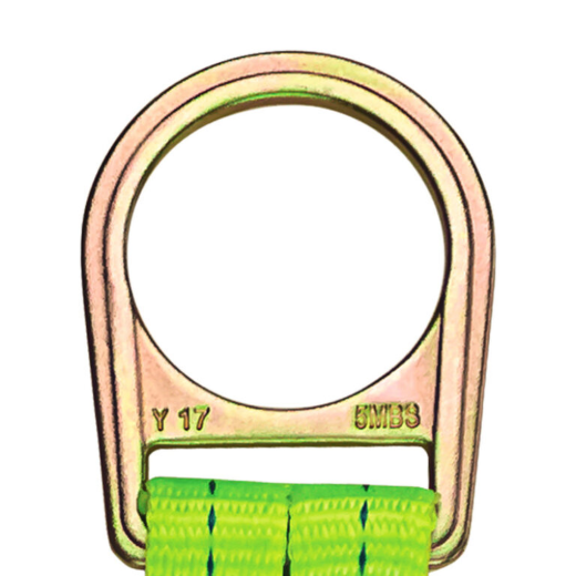 FS815_2.png
