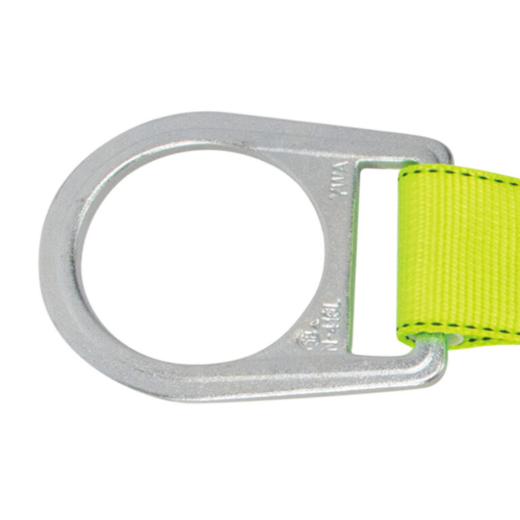 FS813-LOOP_2.png