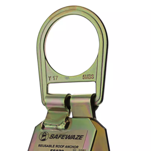 FS870_2.png
