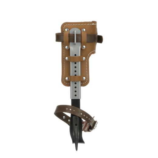 CN1907AR_6.png