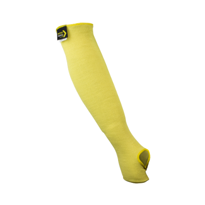 I098813_1.png
