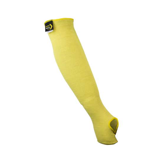 I098813_1.png