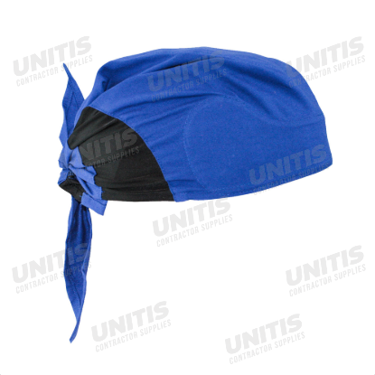 Radians Arctic Radwear Head Shade - Blue