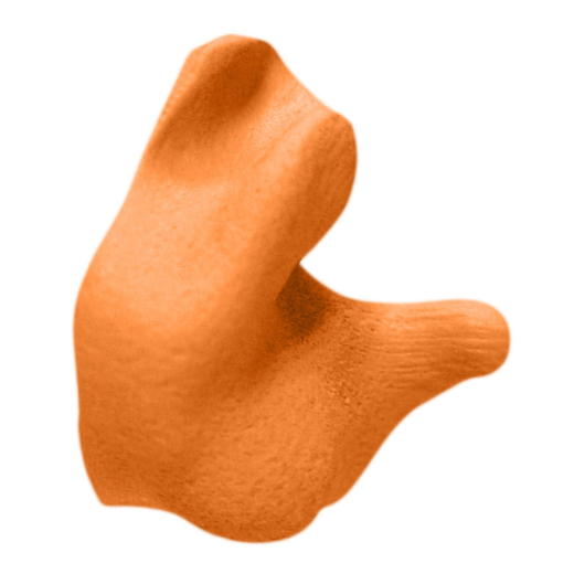 I098585_1.png