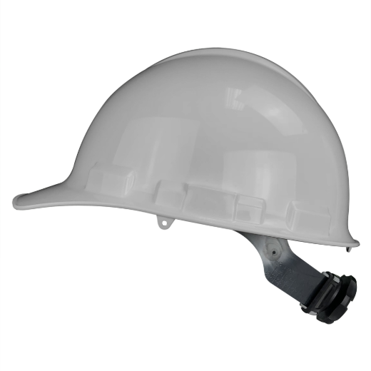 I099246_2.png