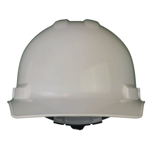 I099246_4.png