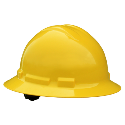 I099254_1.png