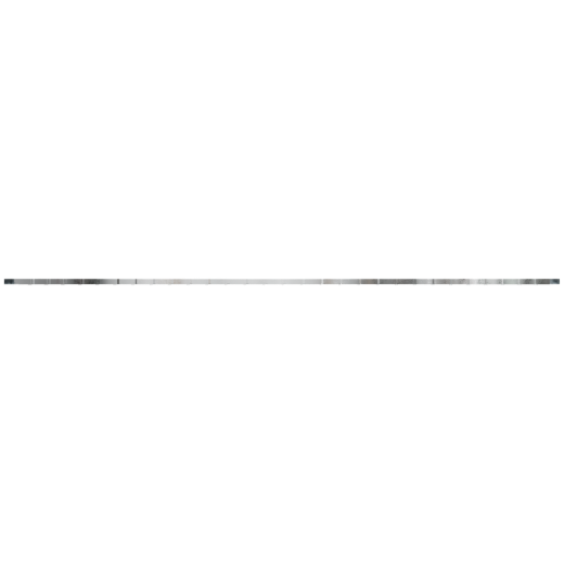 I100451_1.png