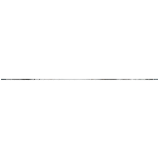 I100453_1.png